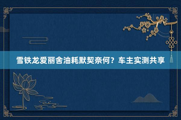 雪铁龙爱丽舍油耗默契奈何？车主实测共享